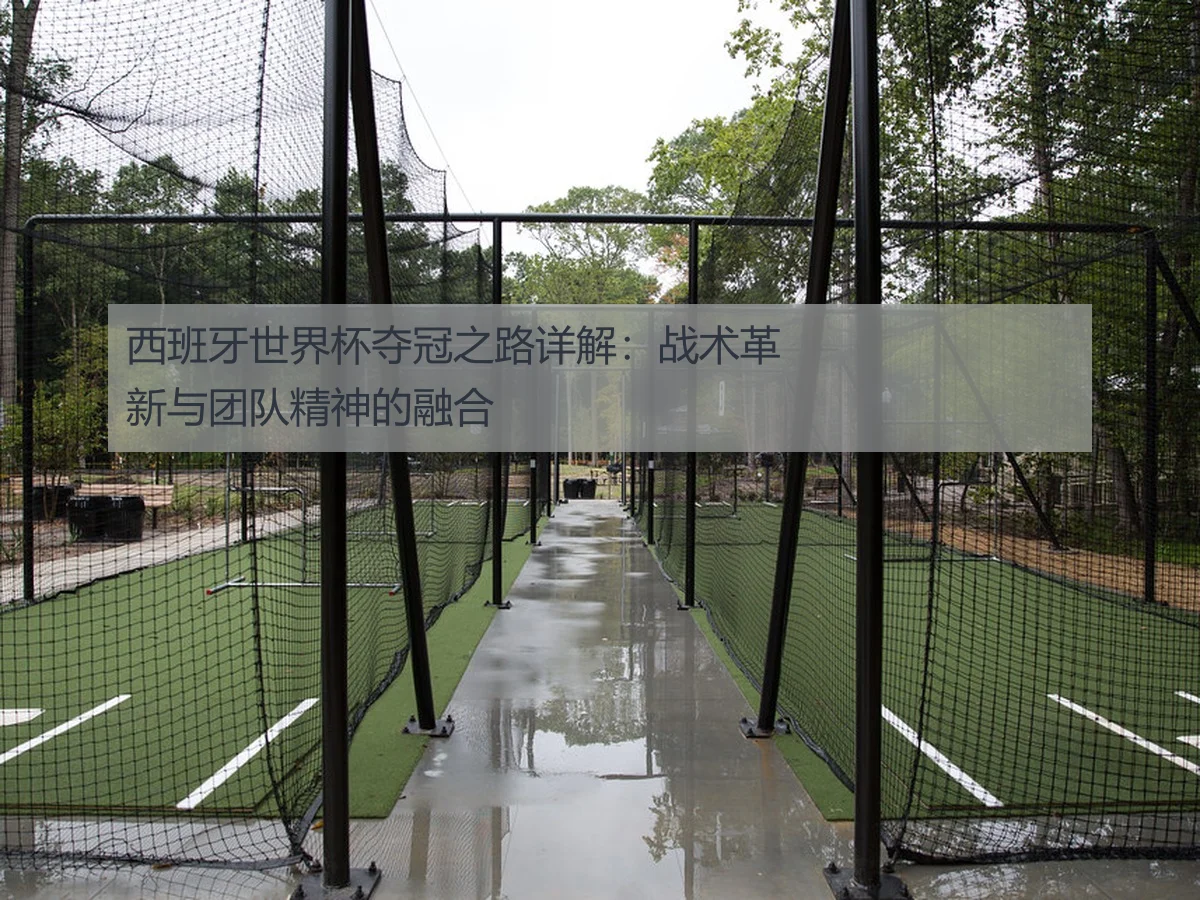 西班牙世界杯夺冠之路详解:战术革新与团队精神的融合
